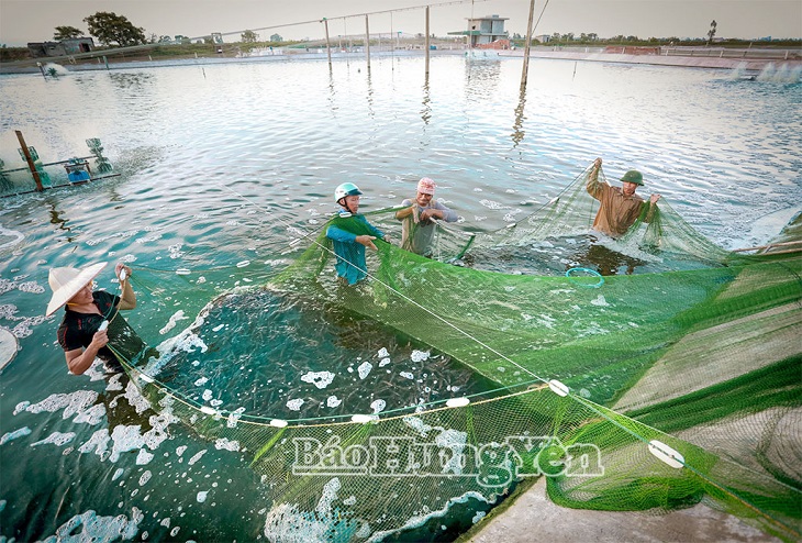 Khát vọng nông dân Hưng Yên trong kỷ nguyên vươn mình