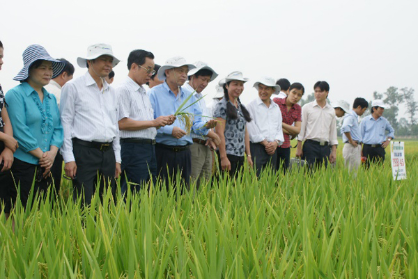 Công nghệ mới tới nông dân tạo dấu ấn tăng trưởng ngành Trồng trọt