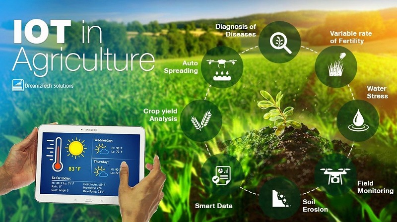 ỨNG DỤNG CHUYỂN ĐỔI SỐ TẠI XÃ NÔNG THÔN MỚI