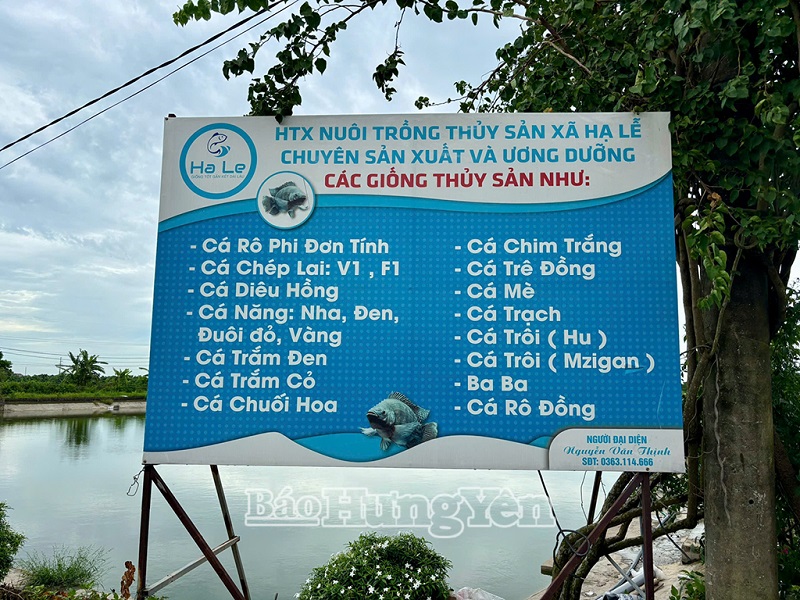 Hình thành chuỗi liên kết để phát triển hợp tác xã bền vững
