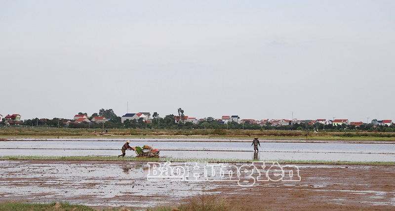 Những việc làm ngay sau khi vận hành bộ máy chính quyền địa phương mới ở xã Nguyễn Trãi