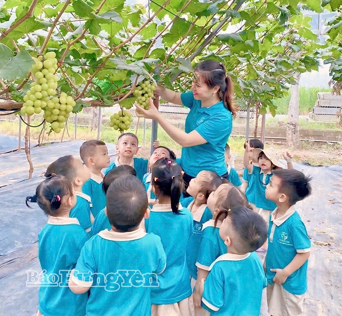 Triển vọng từ mô hình trồng nho sữa Hàn Quốc tại phường Sơn Nam