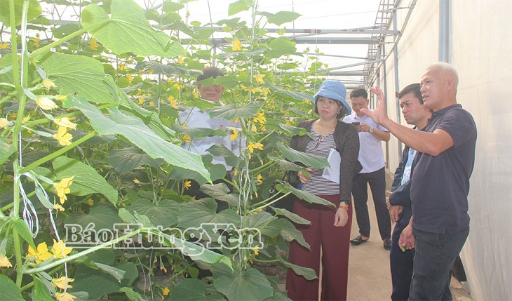 Tống Trân trên hành trình xây dựng nông thôn mới hiện đại