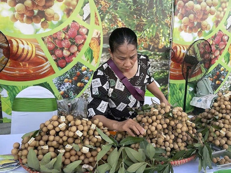 Chuyển đổi số – động lực nâng tầm sản phẩm OCOP trong xây dựng nông thôn mới ở Hưng Yên 