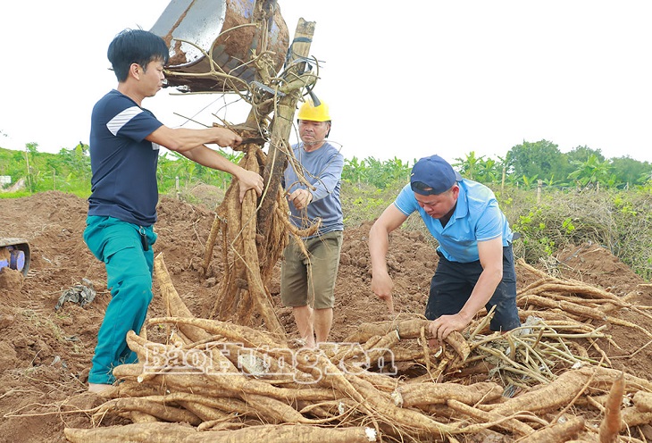 “Đánh thức” vùng đất bãi