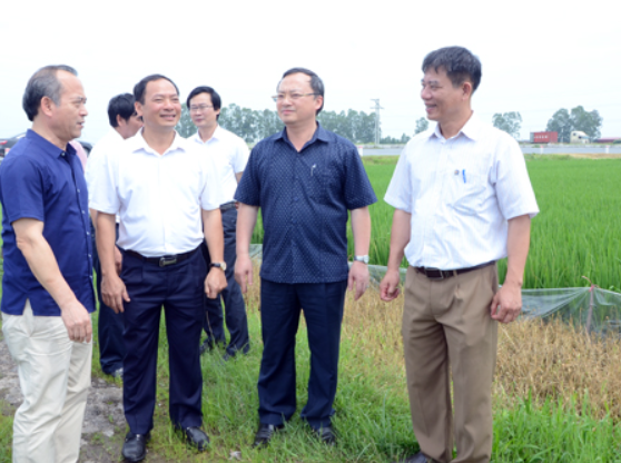 Bí thư Tỉnh ủy Đỗ Tiến Sỹ kiểm tra thực tế một số công trình, dự án phát triển kinh tế - xã hội trên địa bàn huyện Văn Lâm