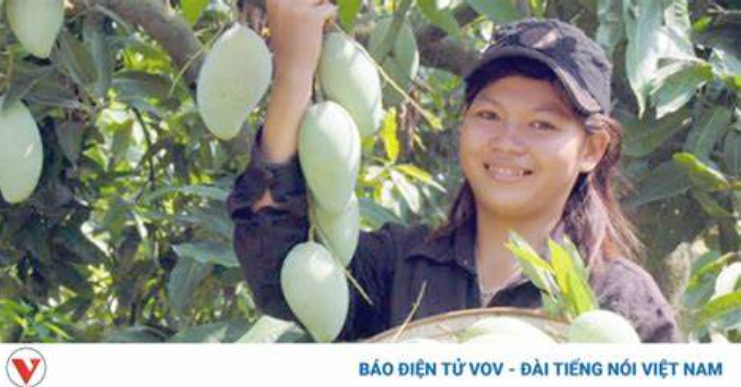 Cần đột phá cải cách thể chế để xuất khẩu nông sản “hái quả ngọt”