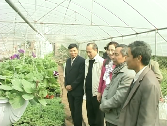 Chủ tịch UBND tỉnh Hưng Yên kiểm tra sản xuất nông nghiệp