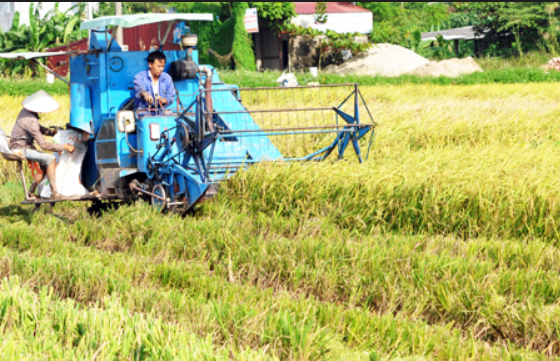 Hưng Yên: Mở rộng kênh dẫn vốn cho tín dụng nông nghiệp, nông thôn