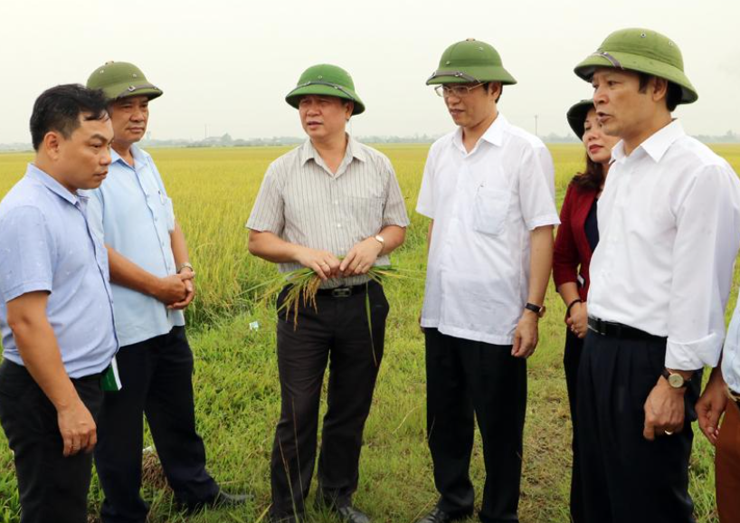Phó chủ tịch UBND tỉnh Nguyễn Minh Quang kiểm tra sản xuất nông nghiệp tại 4 huyện