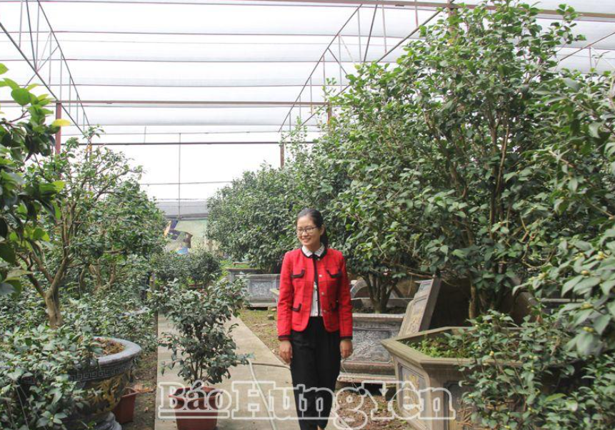 Những vườn trà bạc tỷ ở Văn Giang