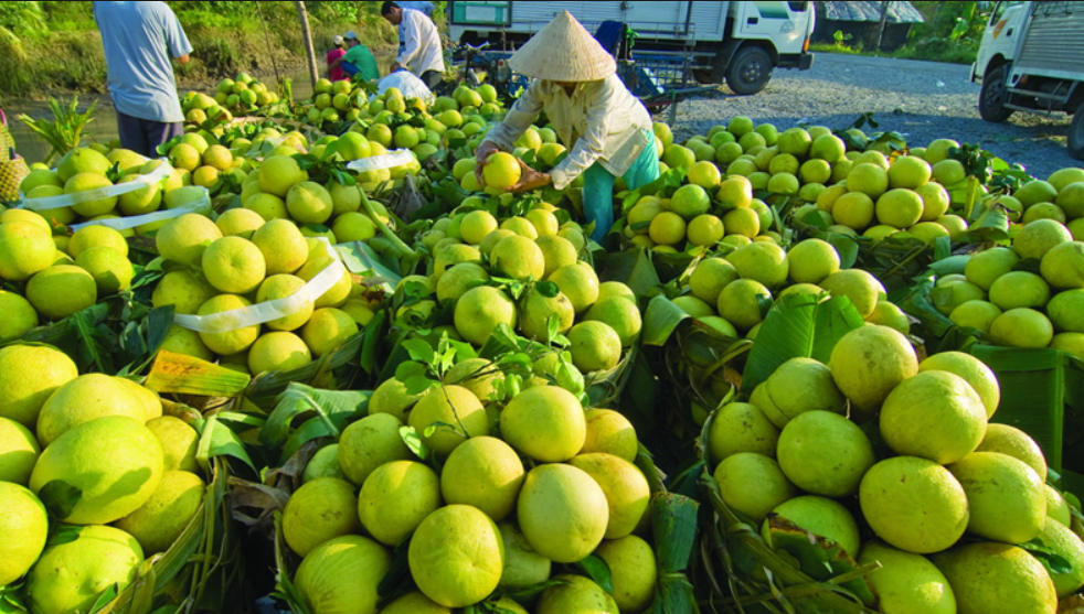 Bàn về tốc độ tăng trưởng của ngành Nông nghiệp Việt Nam