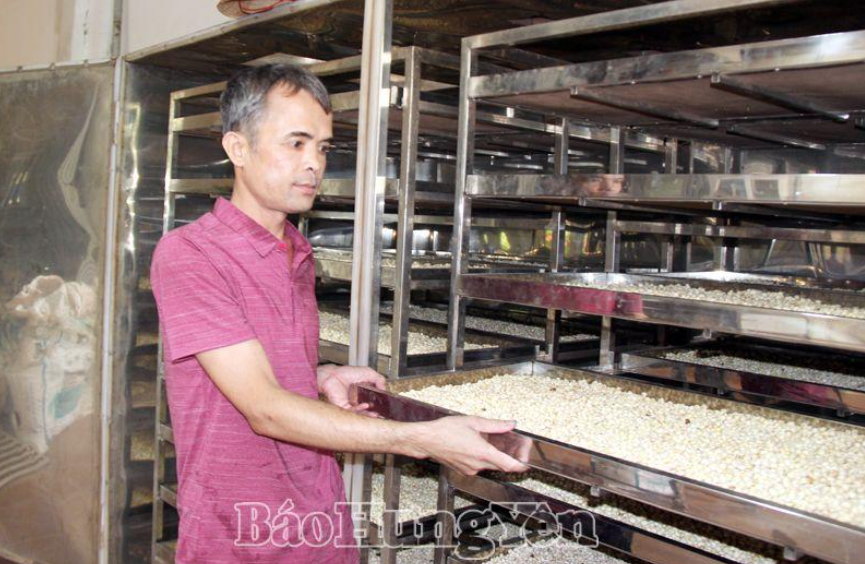 Nghề chế biến hạt sen ở thành phố Hưng Yên