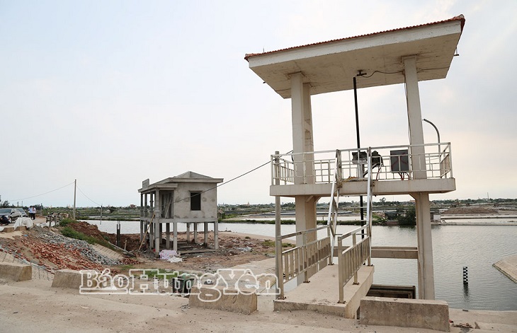 Triển khai phương án thủy lợi phục vụ sản xuất vụ xuân, hè năm 2026