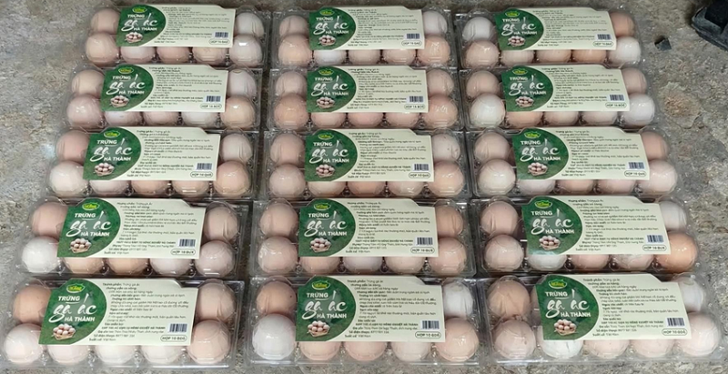 XÂY DỰNG THƯƠNG HIỆU TRỨNG GÀ ÁC HÀ THÀNH 