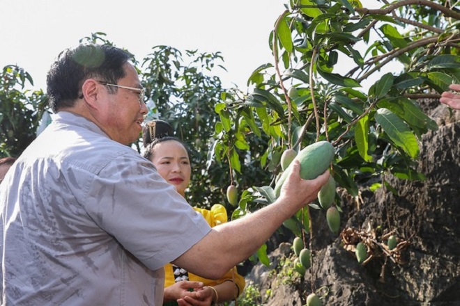 Sơn La phấn đấu trở thành trung tâm chế biến nông sản, hoa quả vùng Tây Bắc