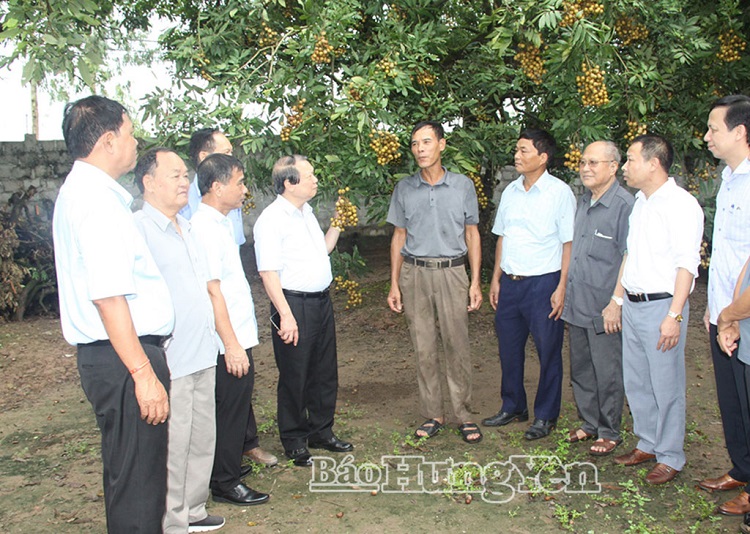 VAC tuần hoàn – nền tảng phát triển nông thôn mới bền vững