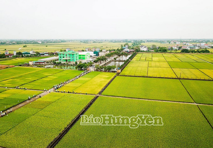 Phát triển hệ thống trung tâm, viện nghiên cứu giống cây trồng