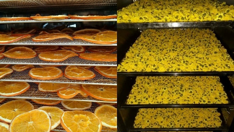 Phát triển sản phẩm OCOP từ mô hình chuyển đổi đất cấy lúa kém hiệu quả