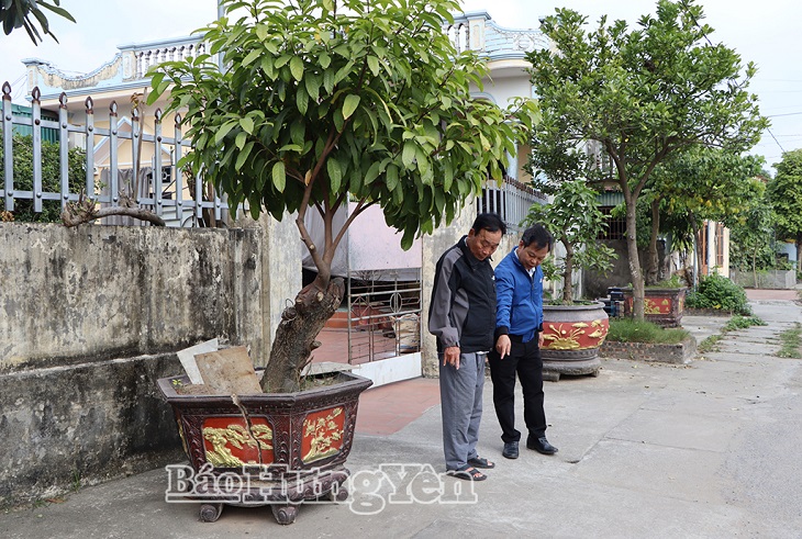 Hội Cựu chiến binh xã Bình Nguyên: Chung tay xây dựng nông thôn mới