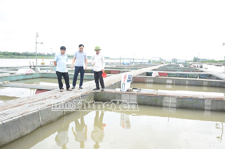 Khai thác lợi thế, nâng cao giá trị kinh tế nông nghiệp
