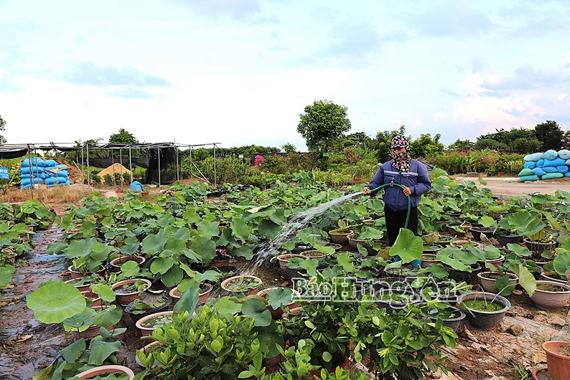 Xã Phụng Công 8/19 thôn đạt chuẩn khu dân cư nông thôn mới kiểu mẫu
